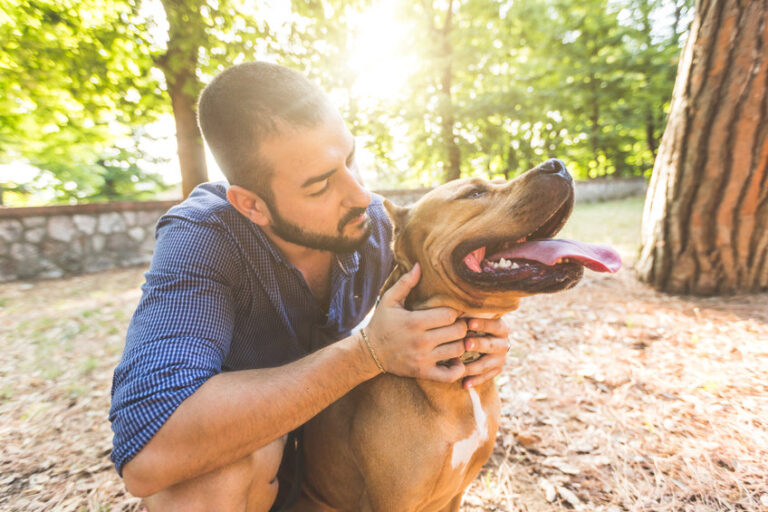 Anti-puce-pour-les-chiens-de-compagnie